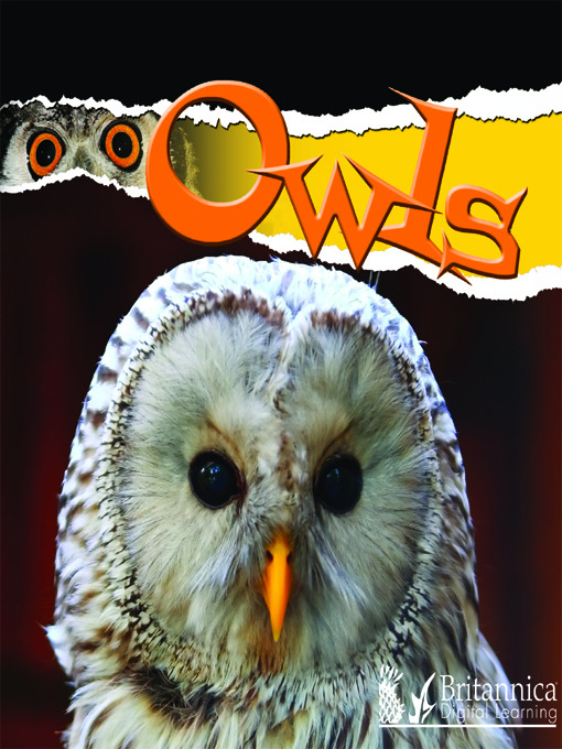 Title details for Owls by Julie K. Lundgren - Available
